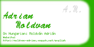 adrian moldvan business card