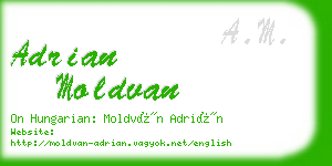 adrian moldvan business card